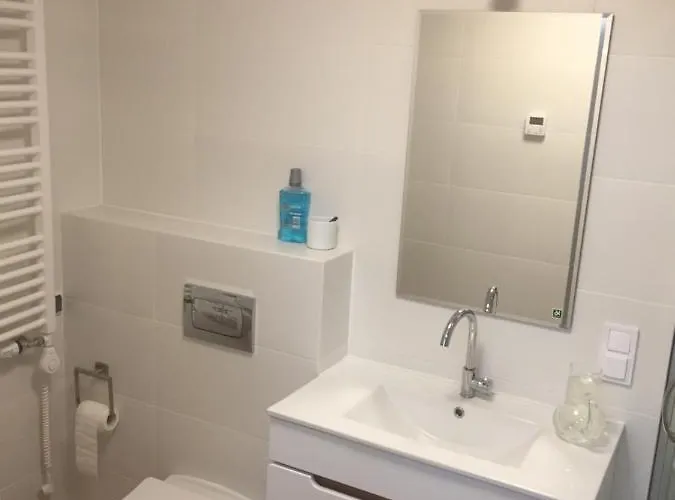 Lägenhet Ekoapartmentszklarska *